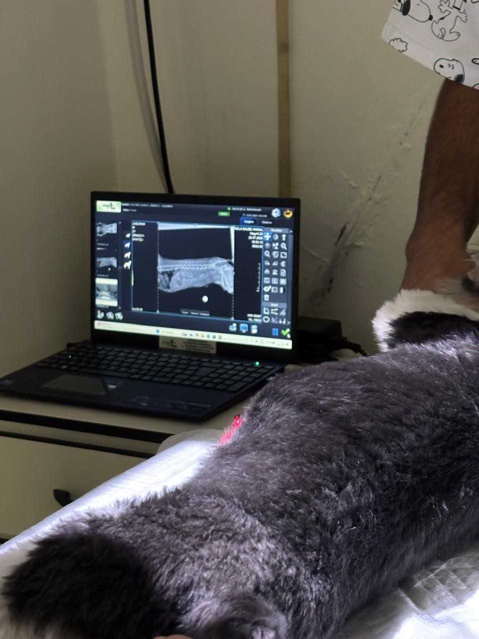 Raio-X Landing Image