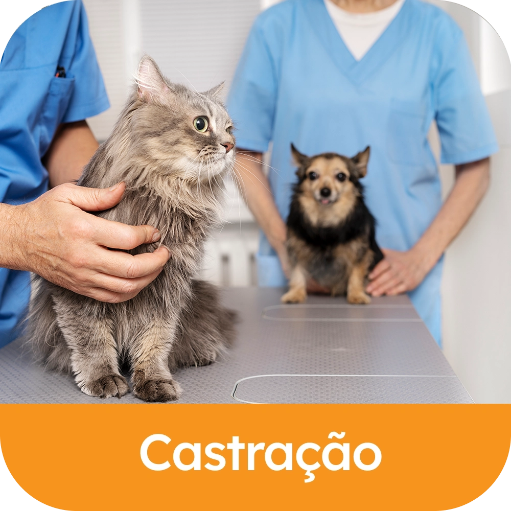 Castracao