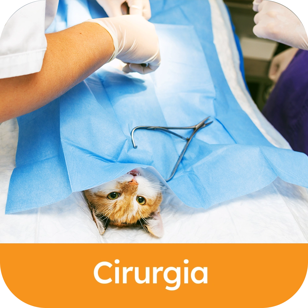 Cirurgia