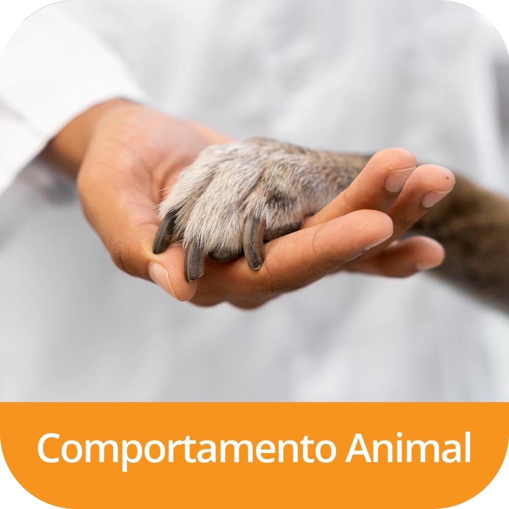 Comportamento-Animal